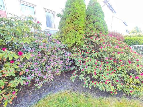 IMG_2336.JPG - SOFORT FREI: Genießen Sie den Sommer in Ihrem neuen großen Garten in Mögeldorf