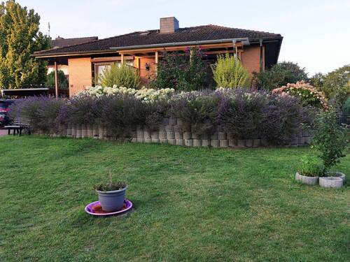 Walmdachbungalow - Ein Familientraum wird wahr! - 320.000,00 EUR Kaufpreis, ca.  133,00 m² Wohnfläche