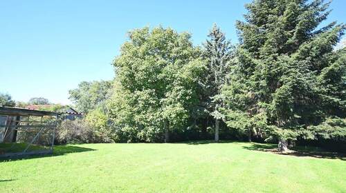 Grünfläche im hinteren Bereich - 