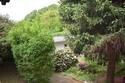 Garten - 