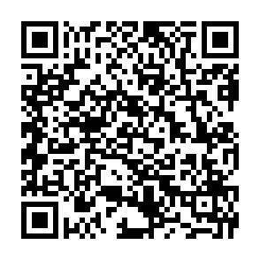QR-Code - 