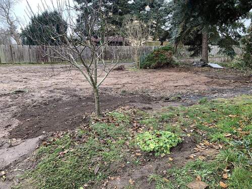 Fläche beräumt - Grundstück in Moritzburg / Friedewald zum Kaufen