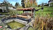 Gartenhaus u. Schwimmteich - 6 Zimmer Einfamilienhaus in Jungingen