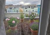 Dachterrasse Hinterseite - 