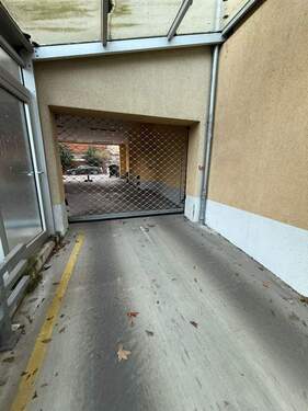 PHOTO-2026-01-05-15-49-32 - 