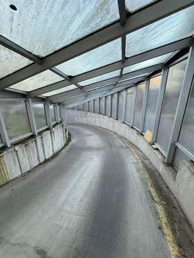 PHOTO-2026-01-05-15-49-31 - 