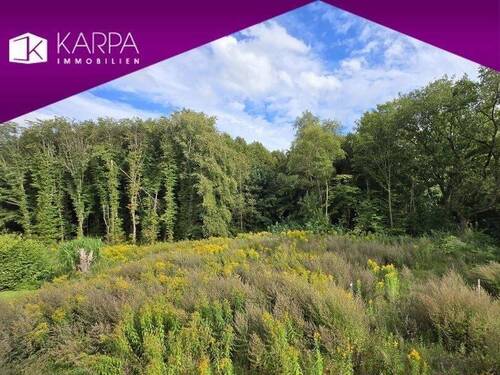 Wohnen am Wald in Kayhude - Wohnen am Wald mit Alsterlauf: Fertiggestelltes Neubau - Haus in Kayhude