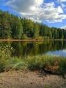 Wald_Fluss - 2 Zimmer Etagenwohnung in Neuenbürg