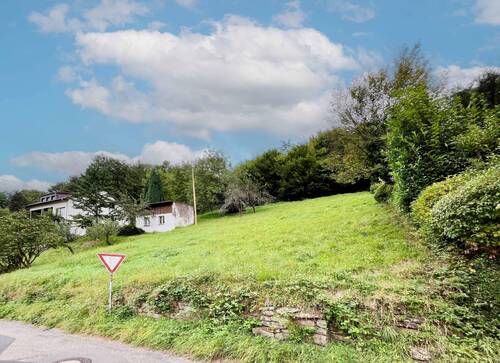 Vorderansicht - Grundstück in Schönau