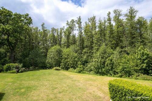 Ausblick Park - 