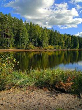 Wald_Fluss - 3 Zimmer Mehrfamilienhaus, Wohnhaus zum Kaufen in Neuenbürg