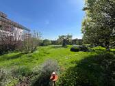 Blick in Garten - 