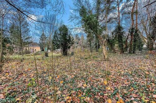 Grundstücksansicht - Grundstück in Schöneiche bei Berlin