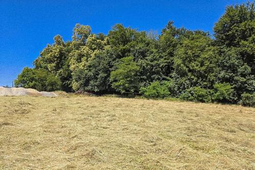 Grundstücksansicht - Grundstück in Künzing