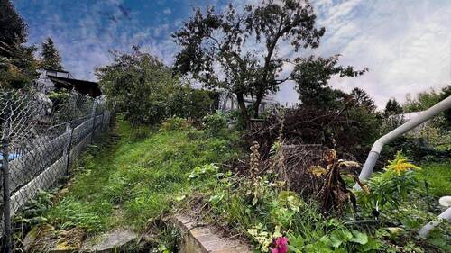 Blick in den Garten - 