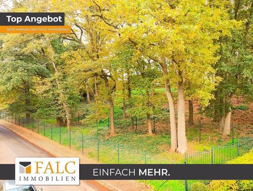 Herzlich Willkommen - 2 Grundstücke in ruhiger Lage vom Selfkant!