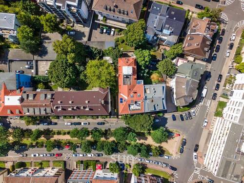 Dach - 