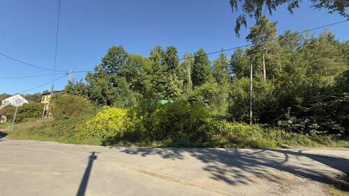 Blick auf das Baugrundstück - Attraktives Baugrundstück am Tharandter Wald