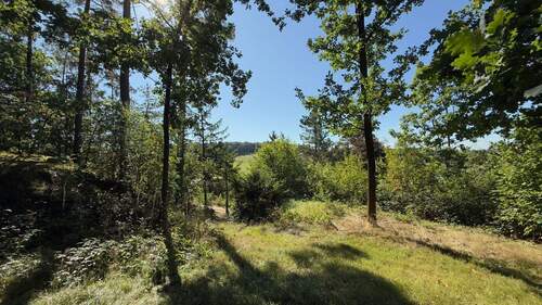 Hinterer Teil mit Blick zum Tharandter Wald - Grundstück in Halsbrücke zum Kaufen