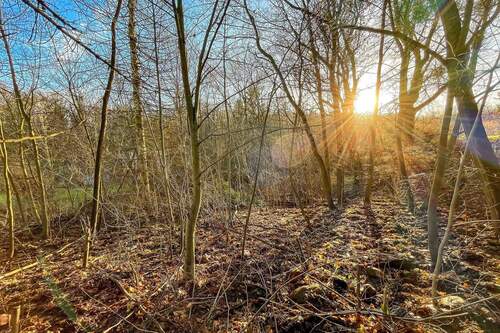 Grundstücksansicht - Grundstück zum Kaufen in Strausberg