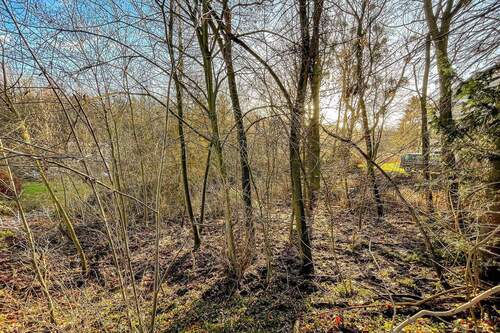 Grundstücksansicht - Grundstück in Strausberg