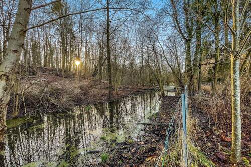 Grundstücksansicht hinten - 