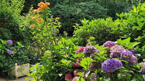 Blick in den Garten - 2 Zimmer Etagenwohnung zum Kaufen in Hamburg OT Nienstedten