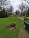 Blick in den großen Garten - 