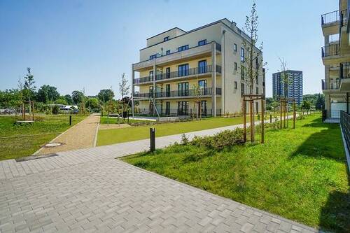 Bild 12 - 