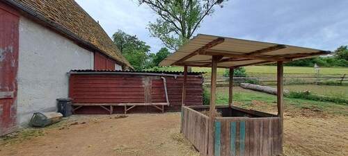 Freilauf für Pferde - 