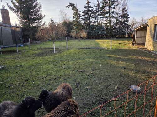 Grundstück hi d Haus - 