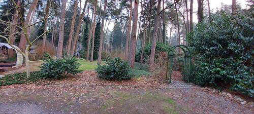 20260123_094117.jpg - 