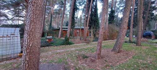 20260123_094142.jpg - 