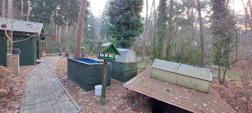 20260123_094246.jpg - 