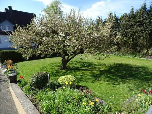 Garten - 