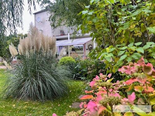 Gartenimpressionen - 