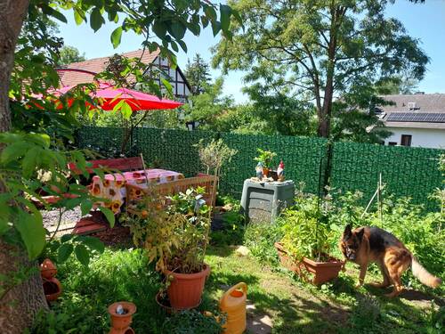 20230811_140343.jpg - 