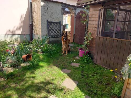 20230811_140609.jpg - 