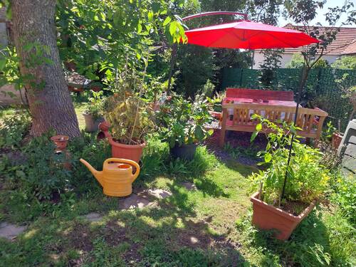 20230811_140750.jpg - 