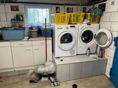 IMG_0832.jpg - 