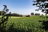 Ihre Aussicht - 