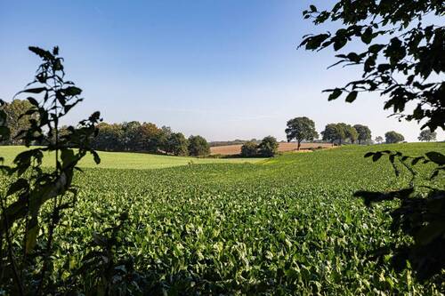 Ihre Aussicht - 