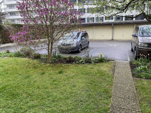 Bild10 - 
