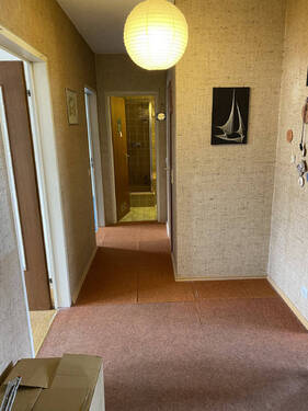 Bild5 - 