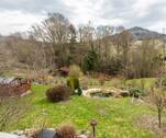 Garten - Teich - 