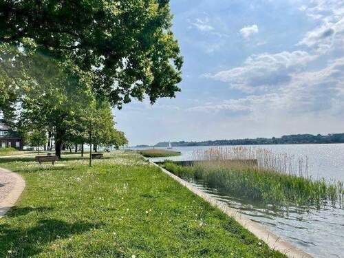 Spazierweg an der Schlei - 