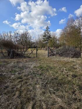 20260312_131957 - Grundstück zum Kaufen in Anklam