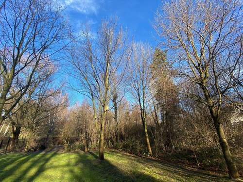 Garten - 6 Zimmer Einfamilienhaus in Großbothen
