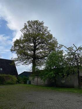 IMG_5759 - 