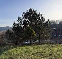 Entkerntes Einfamilienhaus mit Einliegerwohnung in Coburg!